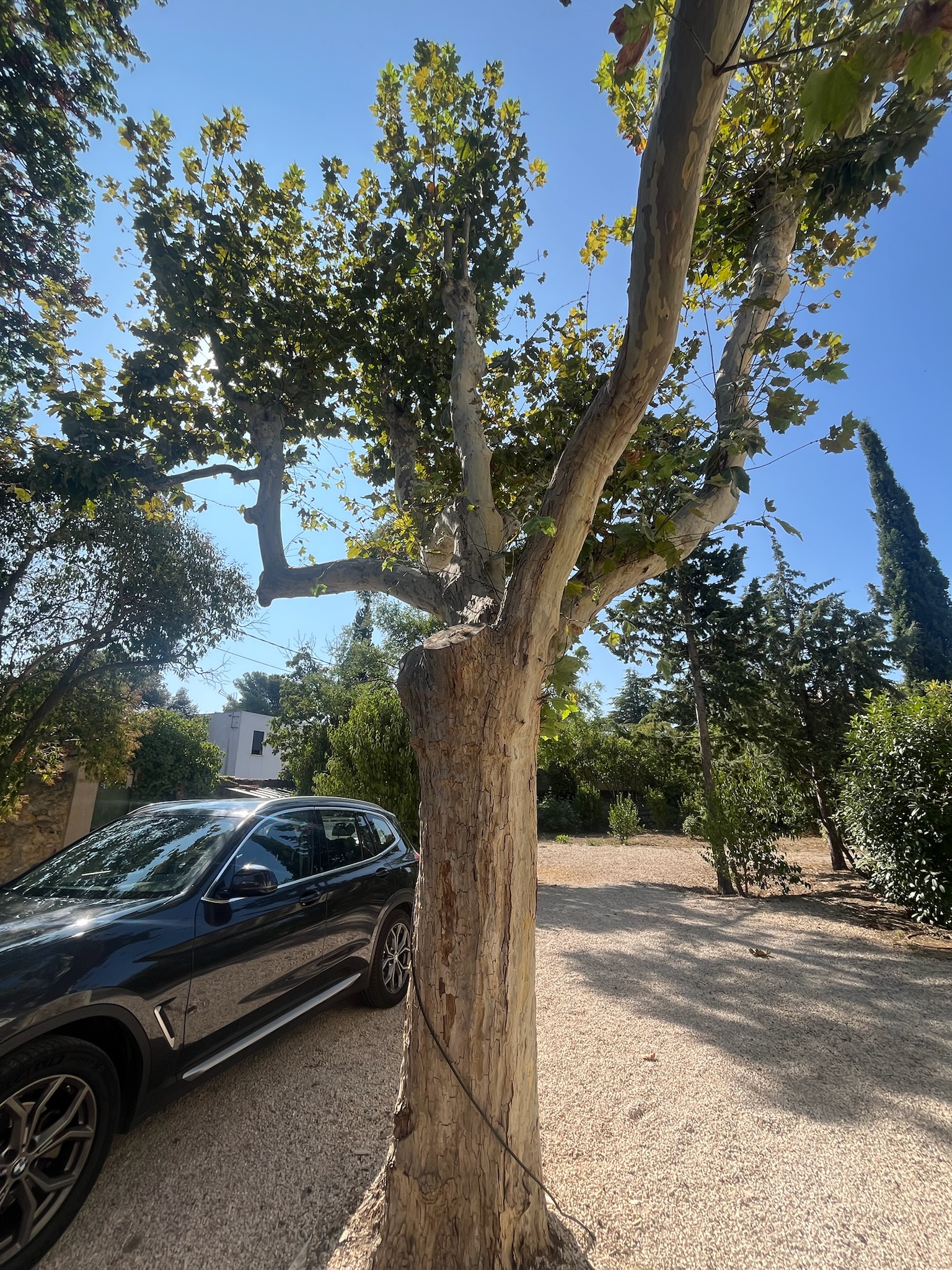 Chantier Bianco - Photo 28